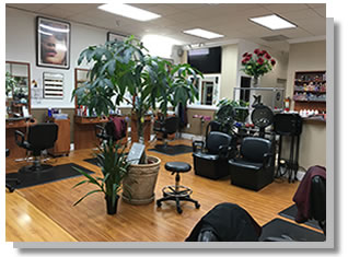 Hair Plus interior — styling stations, black salon chairs, wood cabinets, and plants